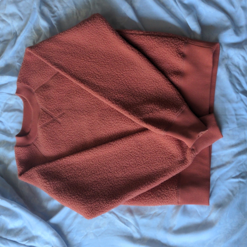 Everlane ReNew Fleece Raglan Sweatshirt